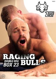 Raging Bulls Box 23 {dd}